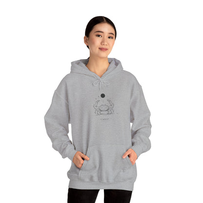Cozy Crab Graphic Hoodie - Fun Gift for Beach Lovers, Casual Wear, Summer Vibes, Seafood Lover's Apparel, Cute Sweatshirt for Friends