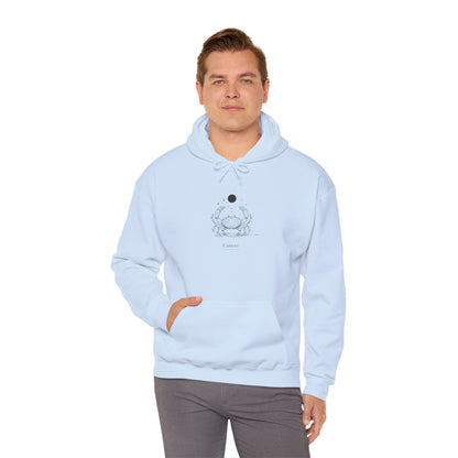 Cozy Crab Graphic Hoodie - Fun Gift for Beach Lovers, Casual Wear, Summer Vibes, Seafood Lover's Apparel, Cute Sweatshirt for Friends