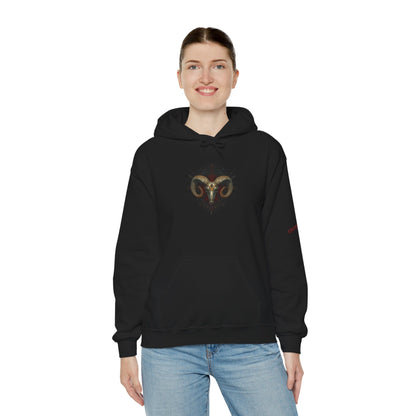 Customizable Aries Zodiac Unisex Hoodie, Astrology Gift, Horoscope Sweatshirt, Constellation Apparel, Star Sign Clothing