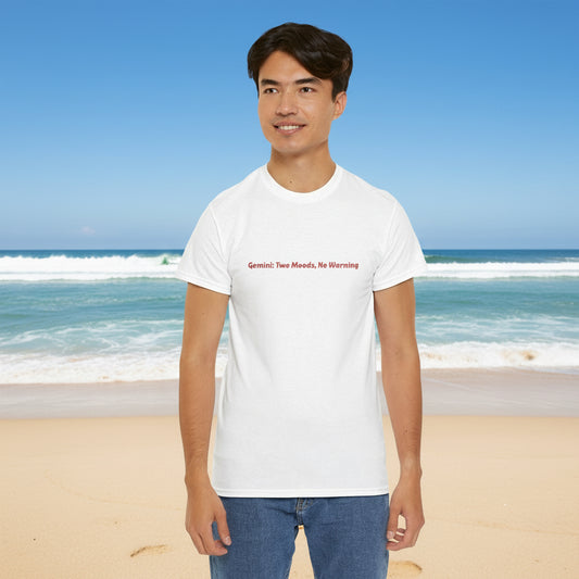 Gemini Two Moods No Warning