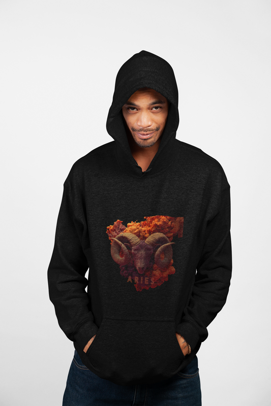 Aries Zodiac Unisex Hoodie Sweatshirt
