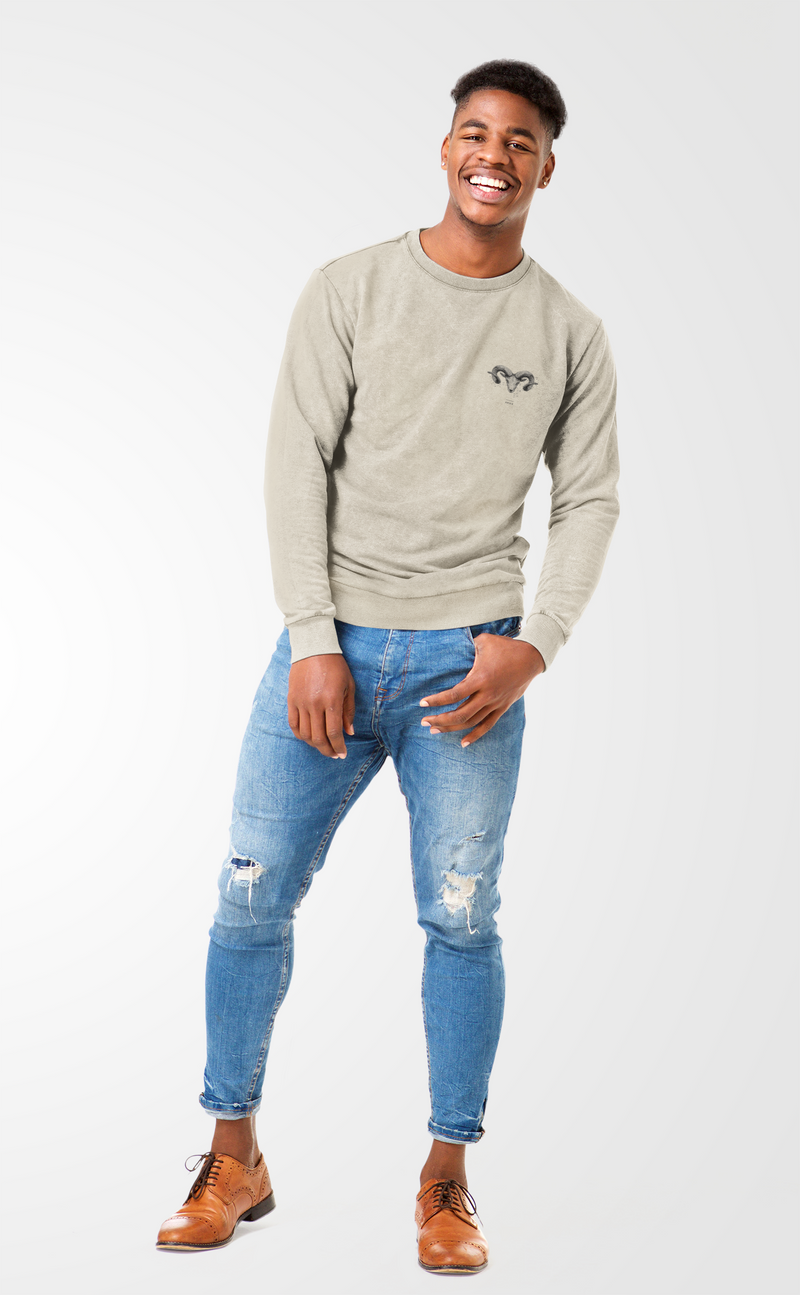 Aries Zodiac Unisex Sweatshirt, Astrology Crewneck Jumper, Horoscope Clothing, Birthday Gift, Vintage Style Top, Spring Fashion