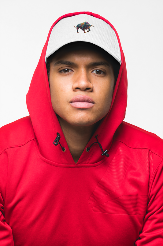 Zodiac Sign Taurus Dad Hat, Astrology Gift for Him