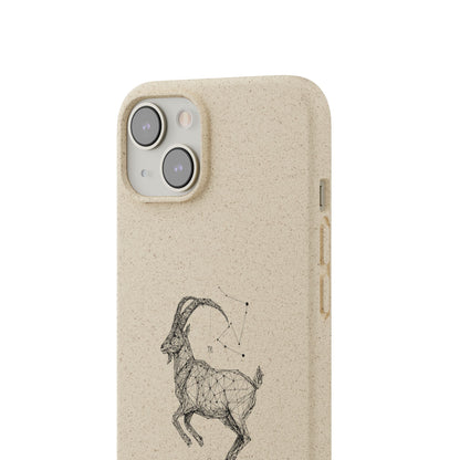 Biodegradable Cases