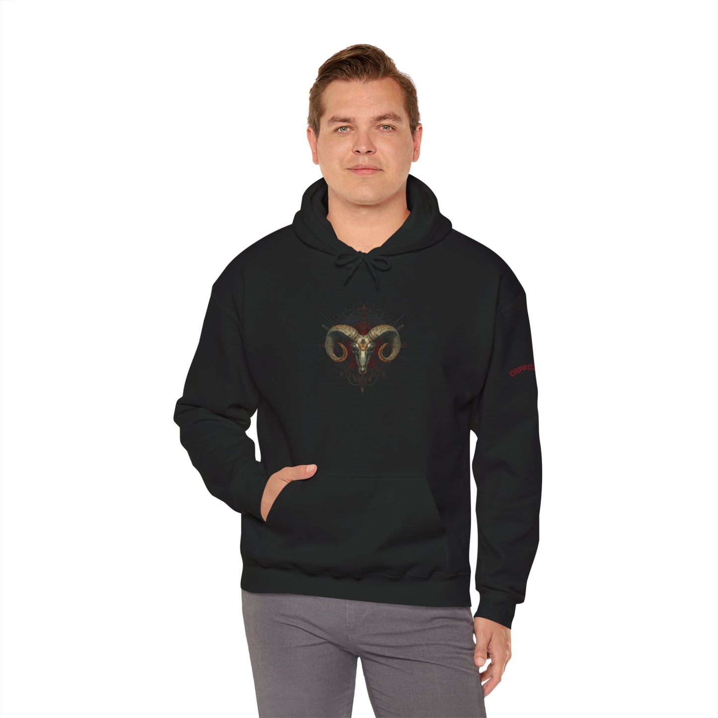 Customizable Aries Zodiac Unisex Hoodie, Astrology Gift, Horoscope Sweatshirt, Constellation Apparel, Star Sign Clothing