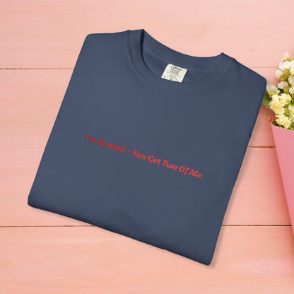 I’m Gemini- You Get Two Of Me - Embroidery Gemini T-shirt, Zodiac Tee, Astrology Shirt, Twin Sign Apparel, Horoscope Top