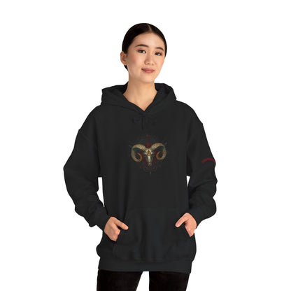 Customizable Aries Zodiac Unisex Hoodie, Astrology Gift, Horoscope Sweatshirt, Constellation Apparel, Star Sign Clothing
