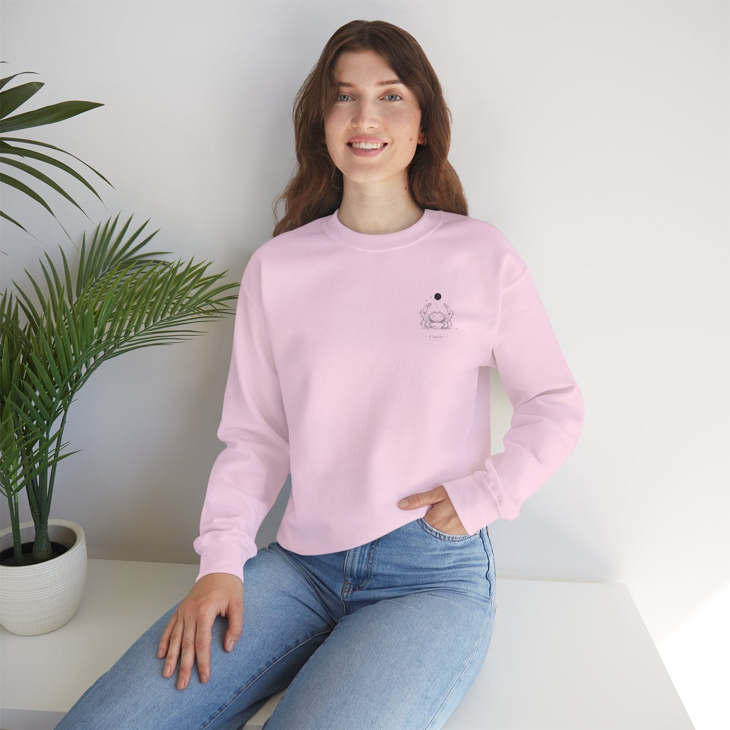 Zodiac Cancer Sweatshirt, Astrology Zodiac Sign Pullover, Horoscope Clothing, Constellation Jumper, Birthday Gift for Cancerians, Astro