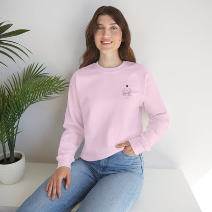 Zodiac Cancer Sweatshirt, Astrology Zodiac Sign Pullover, Horoscope Clothing, Constellation Jumper, Birthday Gift for Cancerians, Astro