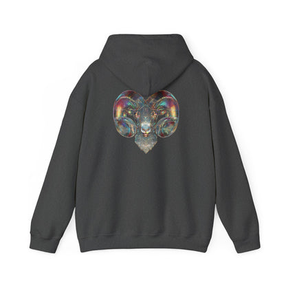 Customisable Aries Hoodie: Fearless Energy Sweatshirt for Astrology Lovers, Celestial Gift, Astrology Apparel, Cozy Hooded Sweatshirt, Zodiac Fashion